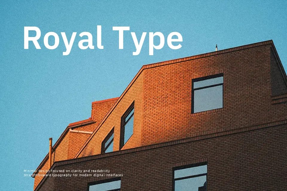 IBM Plex Sans Font Font Preview for Modern Website