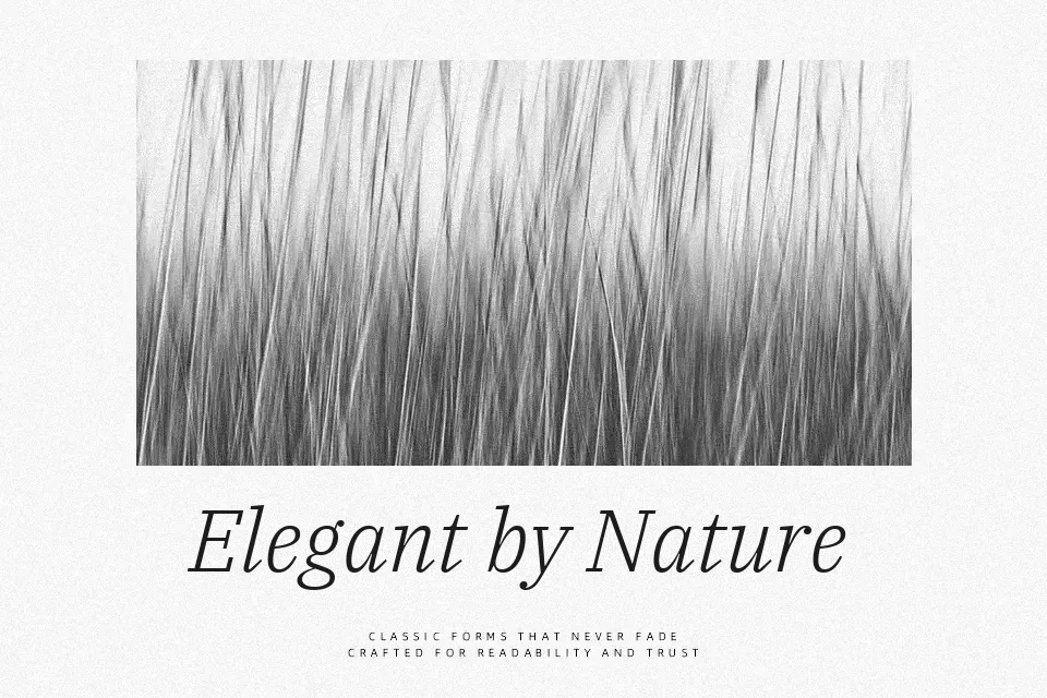 IBM Plex Serif Font Font Preview for Clean Headline