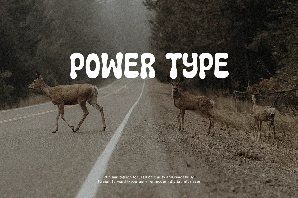 Kitschy Retro Font Font Preview for Creative Packaging