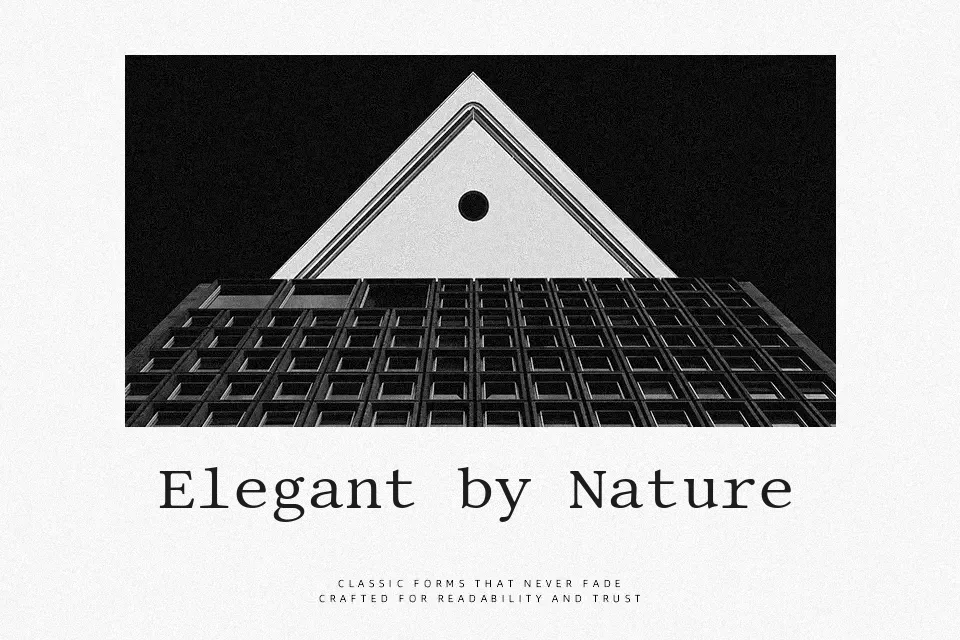 Libertinus Mono Font Font Preview for Website