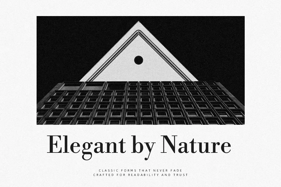 Libre Bodoni Font Font Preview for Professional Mood