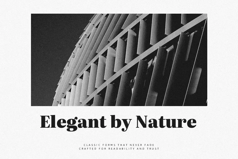 Literata Font Font Preview for Serious Body Text
