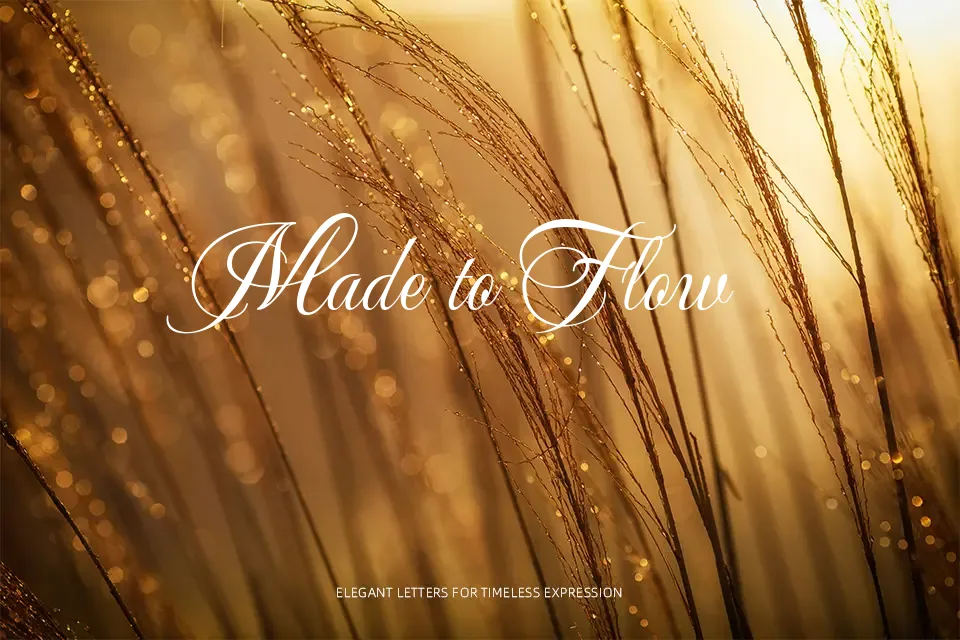 Mea Culpa Font Font Preview for Creative Invitation