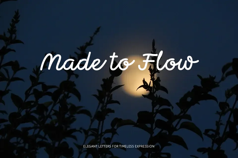 Momo Signature Font Font Preview for Feminine Branding