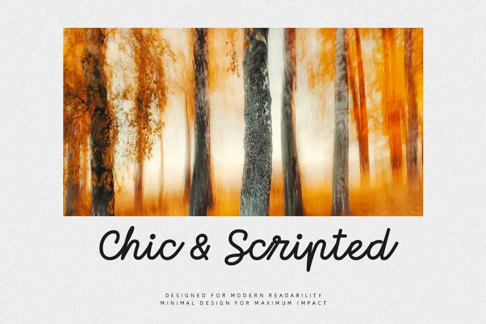 Momo Signature Font Font Preview for Logo
