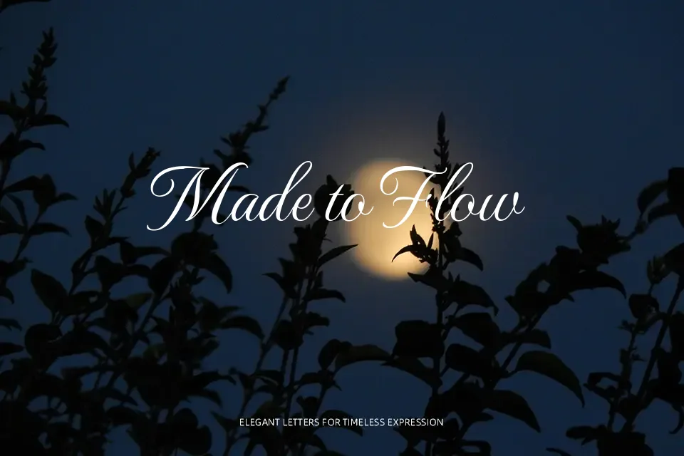 MonteCarlo Font Font Preview for Timeless Branding
