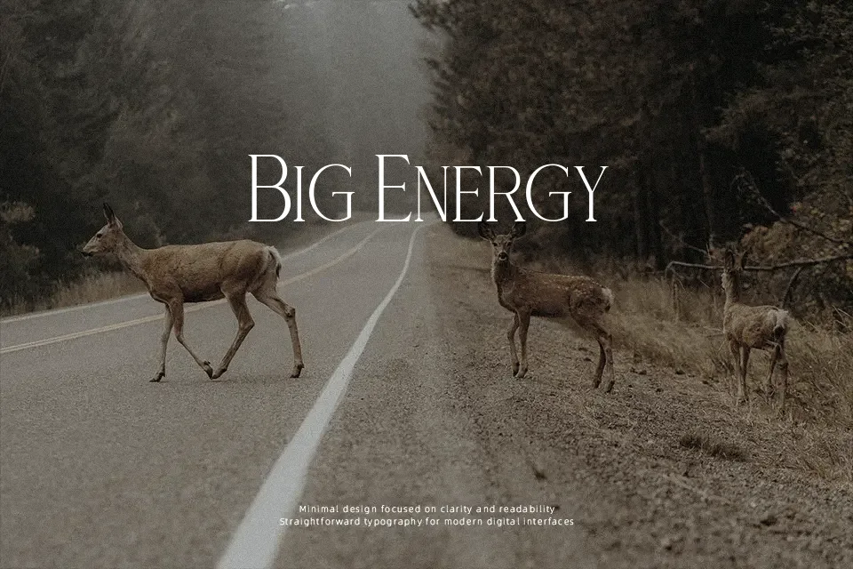 Nevoclara Font Font Preview for Vintage Branding