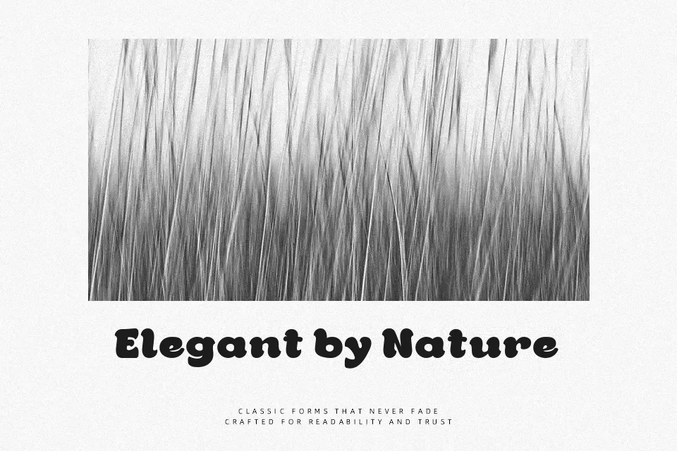 Nolger Font Font Preview for Retro Poster