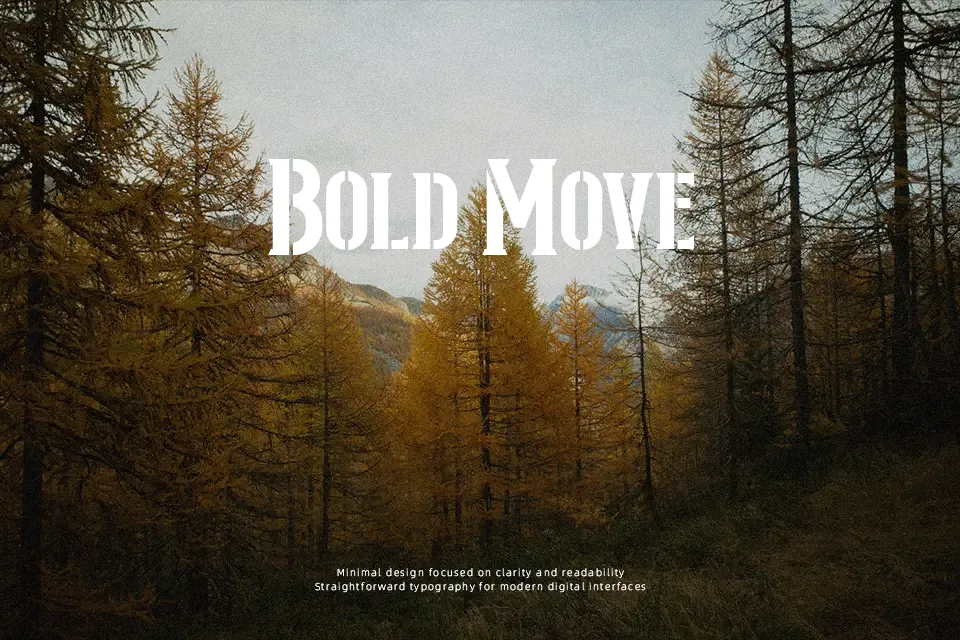 Northash Font Font Preview for Bold Packaging