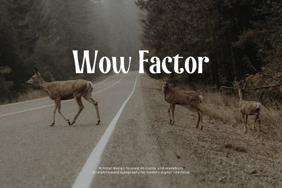 Norwalk Font Font Preview for Modern Mood