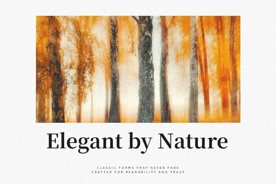 Noto Serif JP Font Font Preview for Clean Body Text