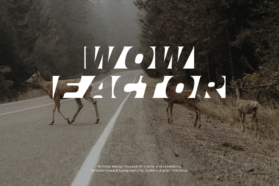 Obliquo Font Font Preview for Modern Packaging