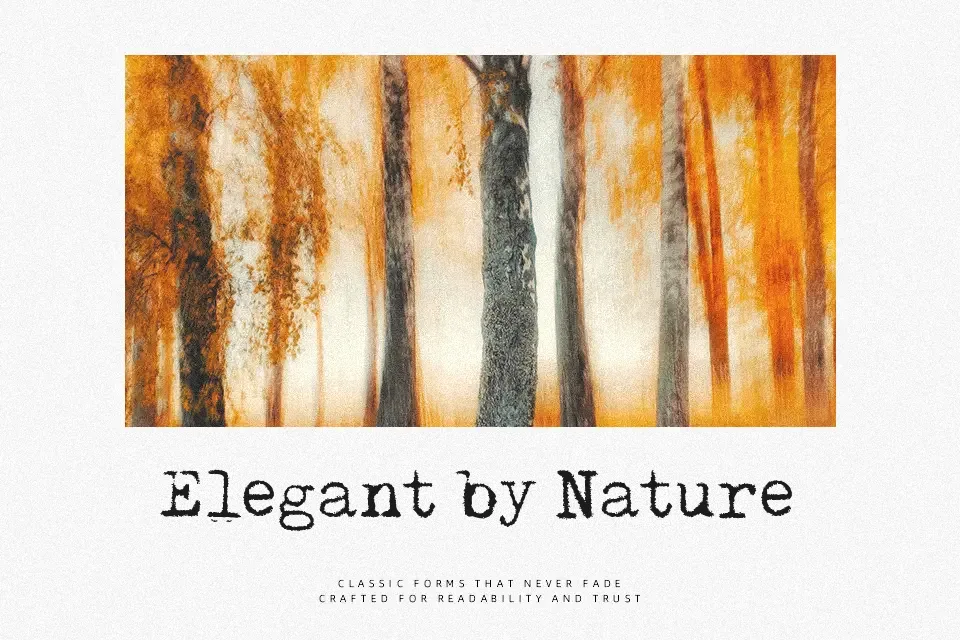 Pelkistettya todellisuutta Font Font Preview for Packaging