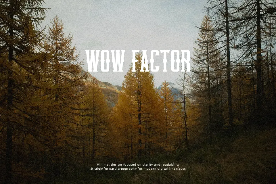 Pineforest Font Font Preview for Vintage Mood