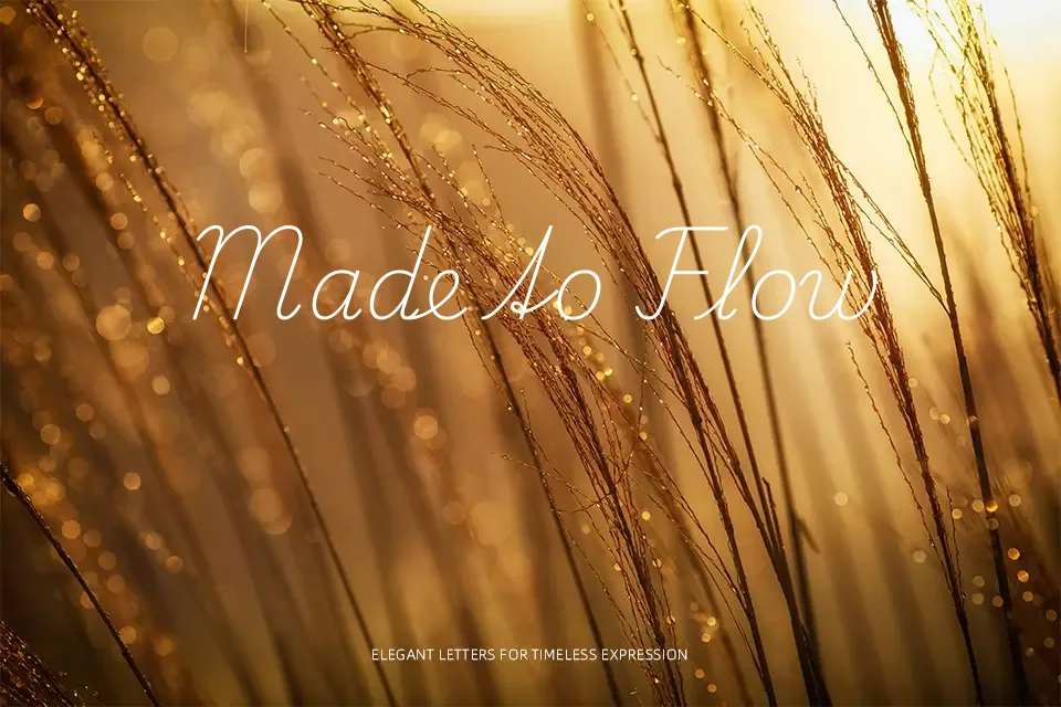 Playwrite CZ Font Handwritten Font Preview for Editorial