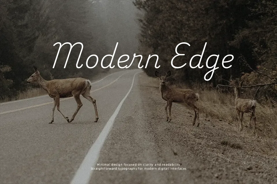 Playwrite IE Font Script Font Preview for Headline
