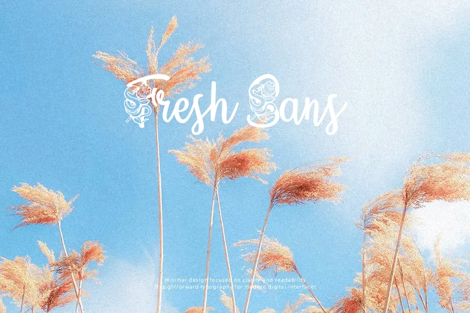 Poison Love Font Script Font Preview for Branding