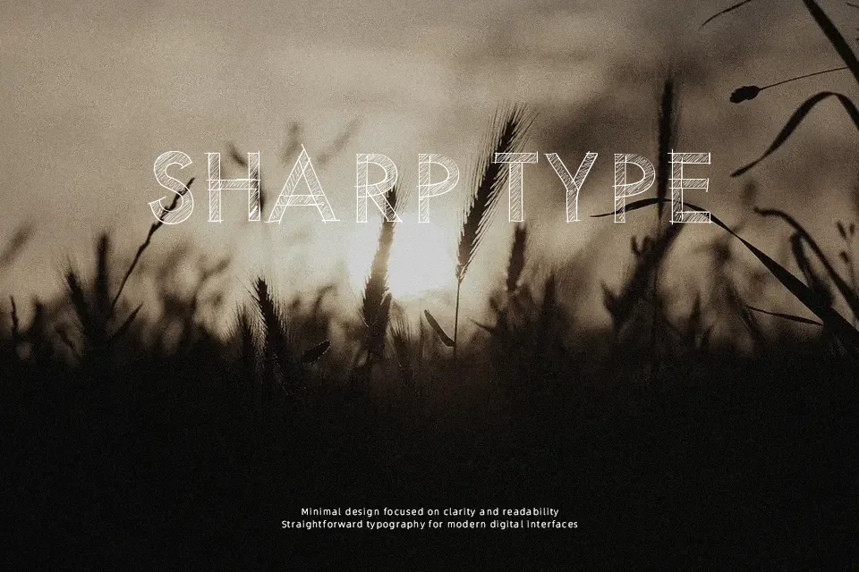 PW Scratched Font Decorative Font Preview for Branding