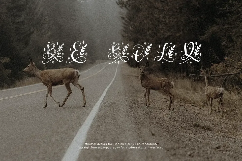 Quinn Monogram Font Decorative Font Preview for Headline