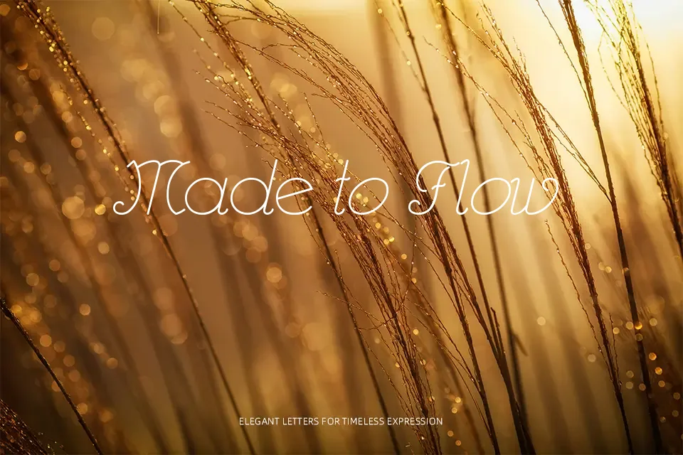 Rhumba Script Font Decorative Font Preview for Poster