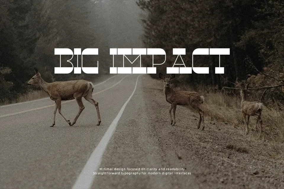 RNS Underwood Font Font Preview for Vintage Packaging