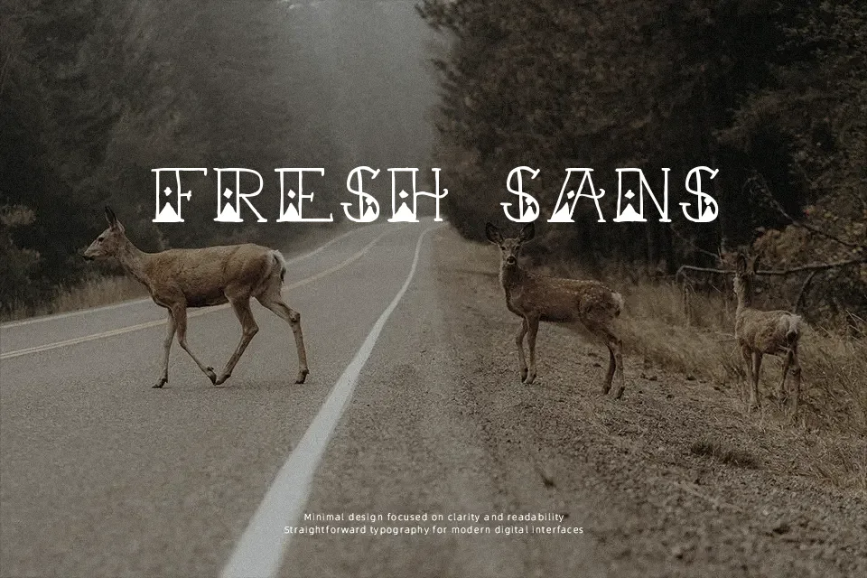 Sailor Scrawl Font Display Font Preview