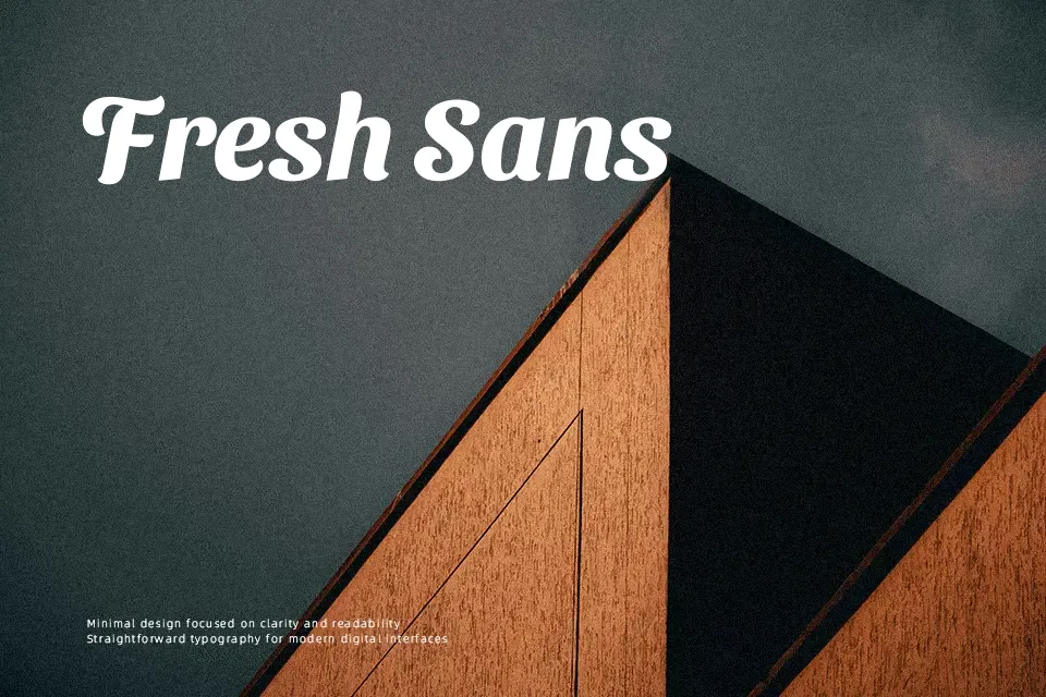 Sansita Swashed Font Font Preview for Packaging