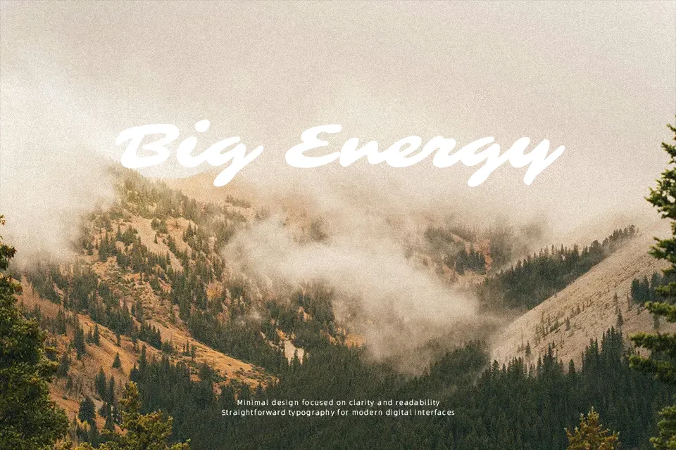 Sarina Font Display Font Preview for Branding