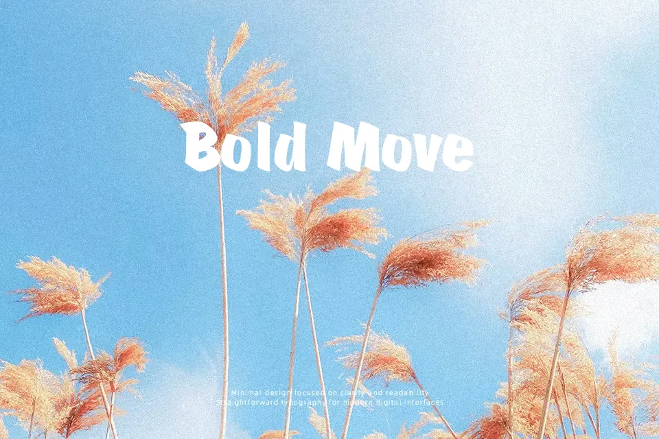 Scratch Font Font Preview for Artistic Mood
