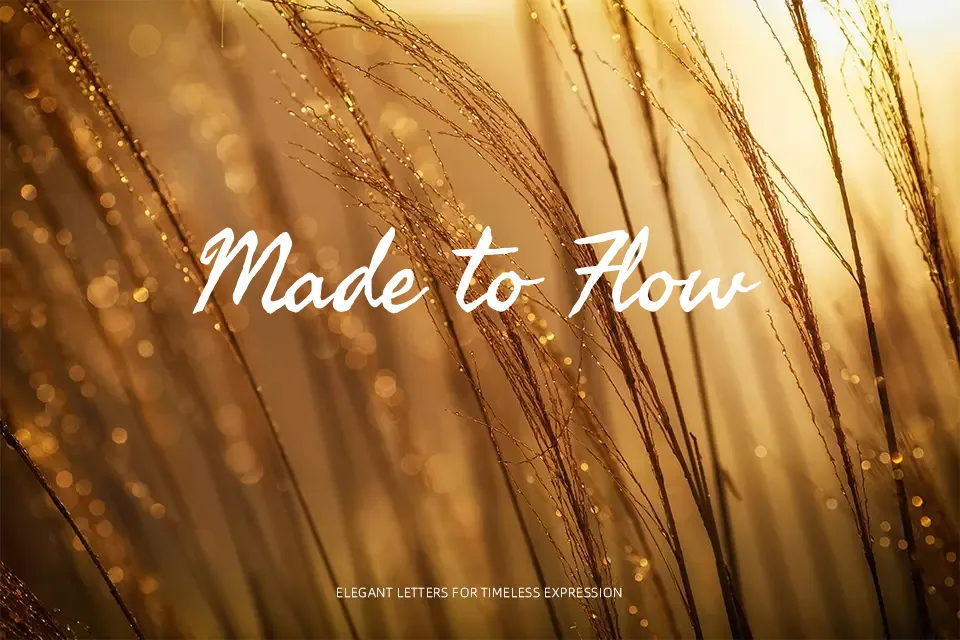 Seaweed Script Font Font Preview for Vintage Headline