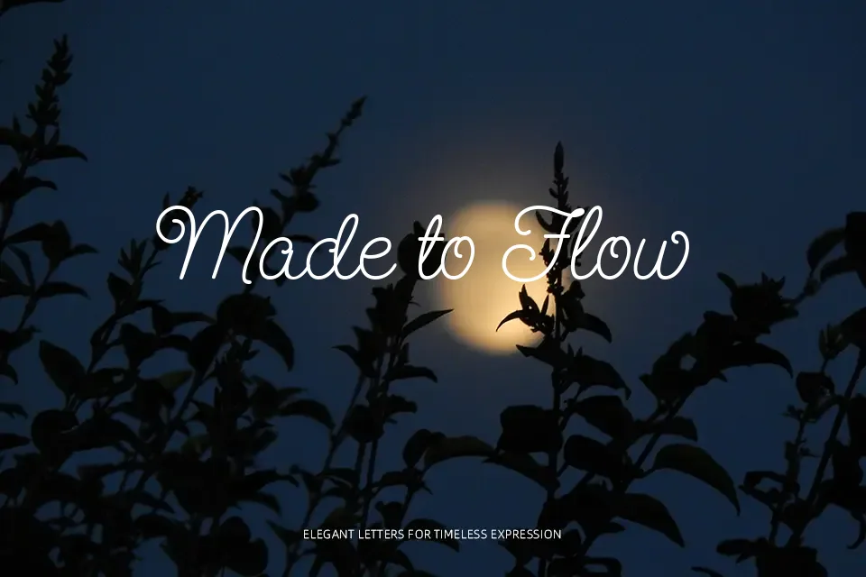 Send Flowers Font Font Preview for Branding