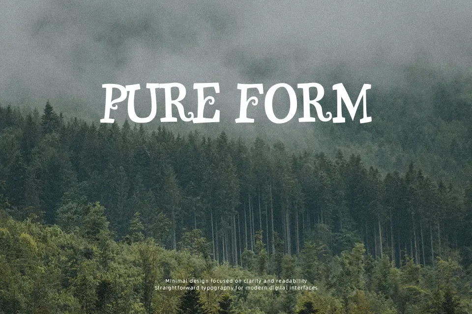 Snidely Font Font Preview for Playful Kids