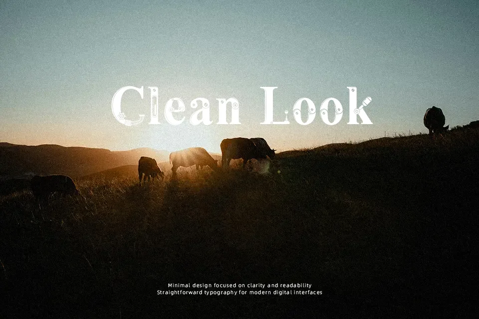 Steamy Font Font Preview for Vintage Poster