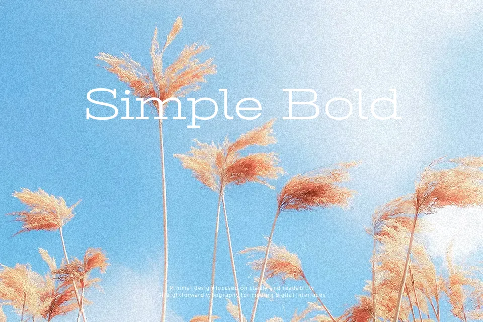Stint Ultra Expanded Font Expanded Font Preview for Poster