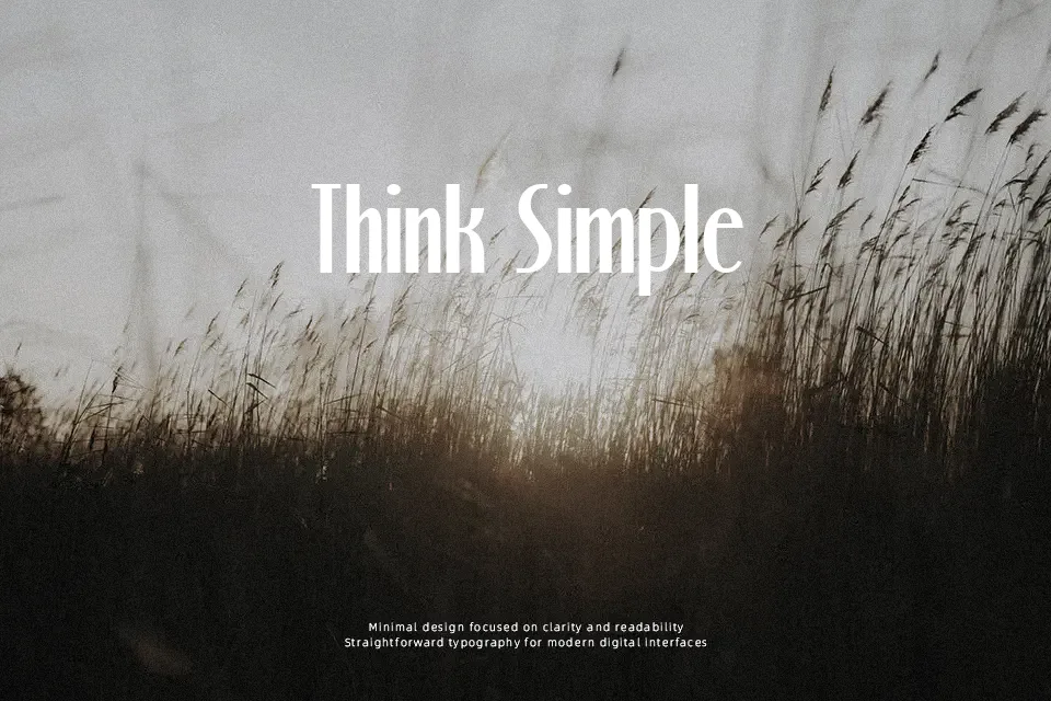 Stony Island NF Font Font Preview for Creative Advertising