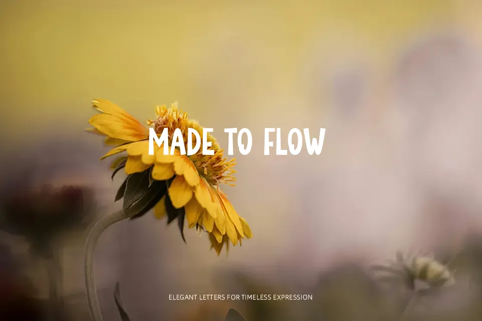 Sunlight Exposure Font Decorative Font Preview