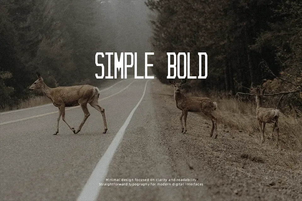 Sunshine State Font Geometric Font Preview for Headline
