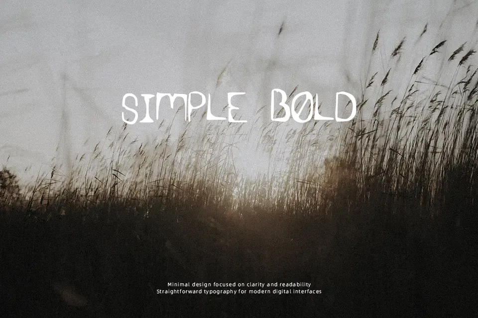 Syn Hax Font Decorative Font Preview for Film