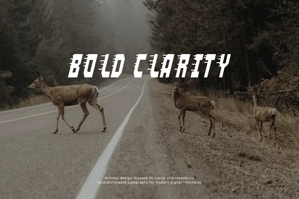Terminal Velocity Font Font Preview for Bold Logo