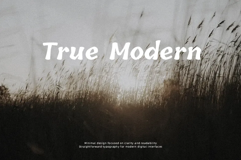 Tillana Font Font Preview for Friendly Poster