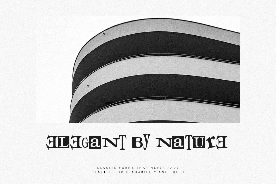 Times for Punks Font Display Font Preview for Packaging