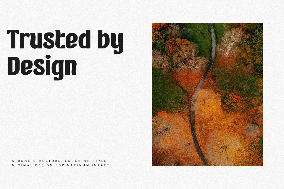 Turkeyes Font Font Preview for Bold Packaging