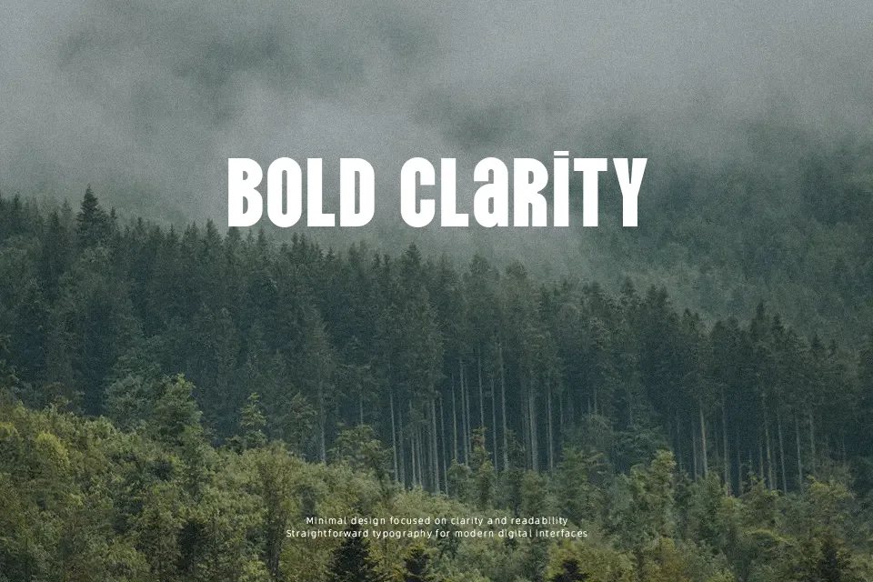 Vina Sans Font Font Preview for Bold Mood