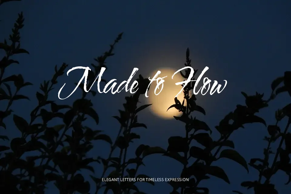 Water Brush Font Font Preview in Latin