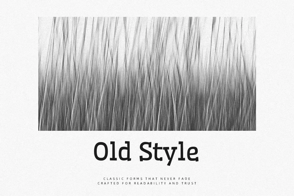 Wellfleet Font Font Preview for Creative Branding