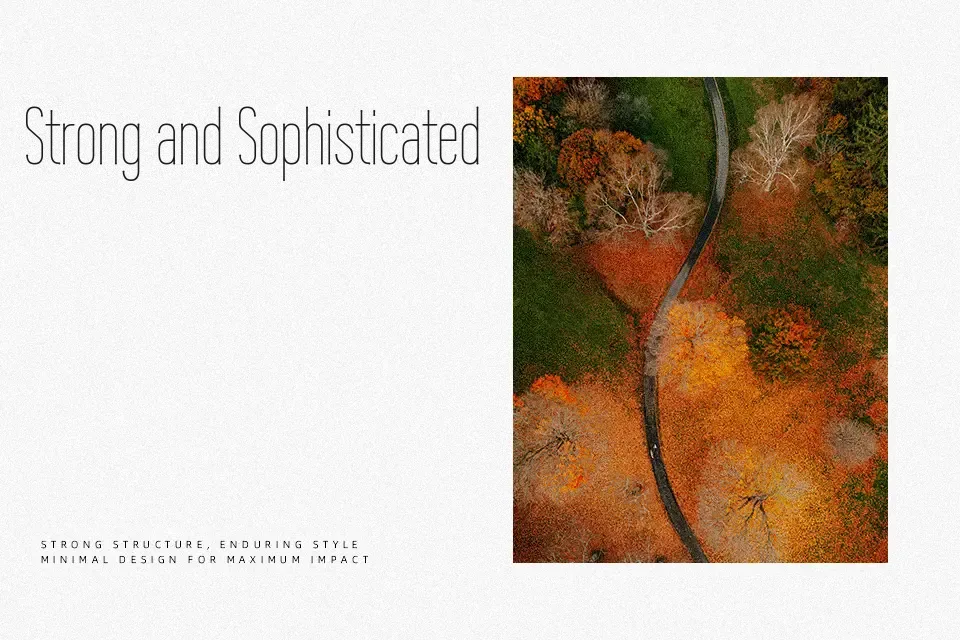 Wire One Font Font Preview for Artistic Website