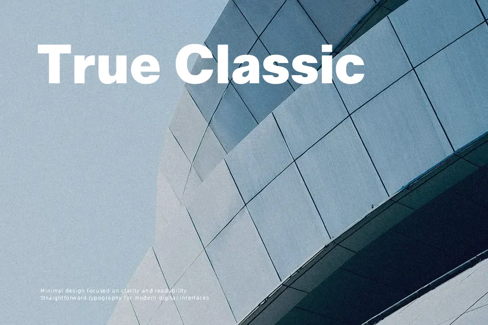 Zalando Sans Font Font Preview for Professional Mood