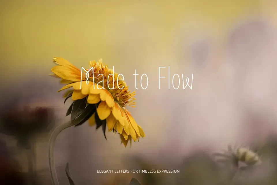 Zen Loop Font Font Preview for Friendly Social Media