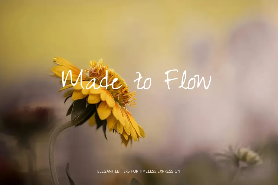 Zeyada Font Font Preview for Creative Invitation